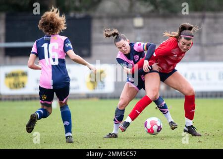 Londres, Royaume-Uni. 29th janvier 2023. Champion Hill Brittany Saylor (8 Dulwich Hamlet) pendant le match de la Ligue des femmes de la région de Londres et du Sud-est entre Dulwich Hamlet et Ebbsfleet à Champion Hill à Londres, en Angleterre. (Liam Asman/SPP) crédit: SPP Sport presse photo. /Alamy Live News Banque D'Images