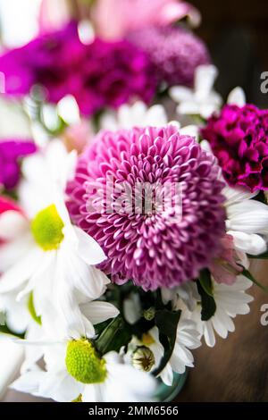Fleur de Dahlia rose vif dans le bouquet Banque D'Images