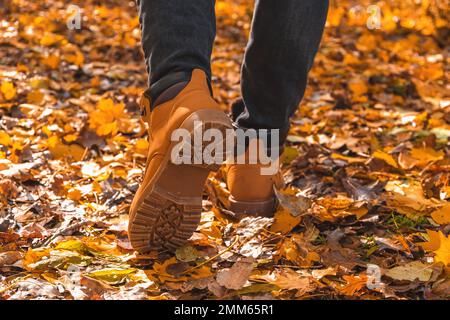 Un homme en chaussures rouges marche dans la forêt d'automne. Bottes orange sur feuilles jaunes sèches tombées. Repos, détente dans la forêt d'automne. Concept d'automne de la marche à travers la forêt. Loisirs et voyages. Banque D'Images