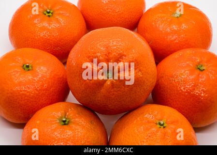 Collection d'oranges mandarines disposées en cercle sur fond blanc Banque D'Images