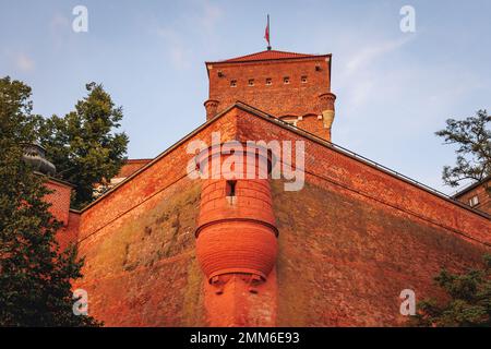 Murs et Thieves Tour du château royal de Wawel dans la ville de Cracovie, la petite Pologne Voivodeship de Pologne Banque D'Images