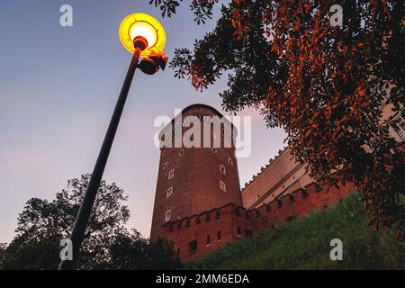 Senators Tower of Wawel Royal Castle dans la ville de Cracovie, la petite Pologne Voivodeship de Pologne Banque D'Images