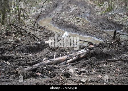 Accumulation d'eau dans Fairway par Harvester Banque D'Images