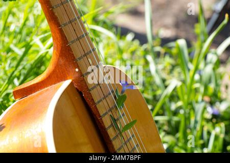 la guitare marron en bois se trouve sur l'herbe au printemps au soleil Banque D'Images