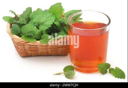 Feuilles de baume de citron avec tisane dans un verre sur blanc Banque D'Images