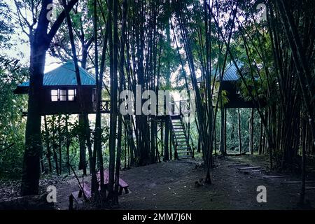 Chambre avec vue. Treehouse bungalows dans le parc national de Thong Pha Phum, Kanchanaburi, Thaïlande Banque D'Images