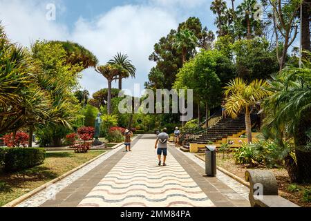 Arucas, Espagne, 19 juillet 2022 : magnifique jardin dans le centre d'Arucas, Gran Canaria, Espagne. Banque D'Images