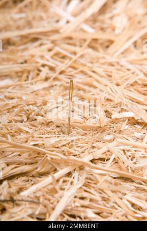 aiguille dans un symbole de haystack de quelque chose de difficile à trouver Banque D'Images