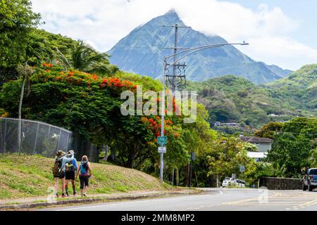 Des membres du 392nd e Escadron du renseignement parcourent l'île d'Oahu, au 11 août 2022. Plus de 60 aviateurs affectés au Groupe de renseignement, de surveillance et de reconnaissance 692nd ont participé à la randonnée de résilience pour sensibiliser le public au mois du patrimoine hispanique et au mois de la prévention du suicide. « Cet événement consiste à se réunir en équipe au sein de notre unité. Cette année, nous l'avons ouvert à toutes les 16th unités de la Force aérienne de l'île », a déclaré le lieutenant-colonel Nicholas Hall, 392nd EN est le commandant. « Il s'agit simplement de se réunir en équipe, de faire des choses vraiment difficiles et de faire les choses, Banque D'Images