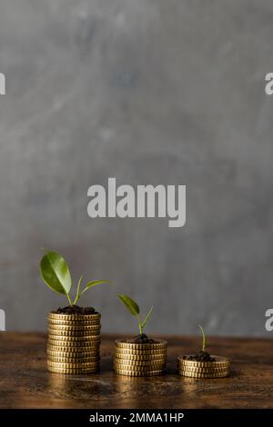 vue de face trois piles de pièces de monnaie avec l'espace copie de plantes. Belle photo Banque D'Images