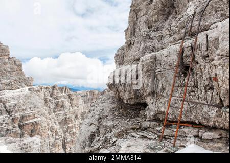 Échelle, via delle Bocchette via ferrata au-dessus de la Bocca del Tuckett, Brenta Massif, Brenta Dolomites, près de Molveno, Malfein, Province de trente Banque D'Images