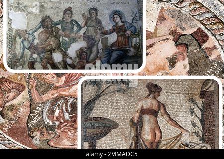 Les magnifiques mosaïques. Parfaitement conservé, qui sont situés dans la maison de Dionysos dans le Parc archéologique de Paphos sur l'île de Chypre. Banque D'Images