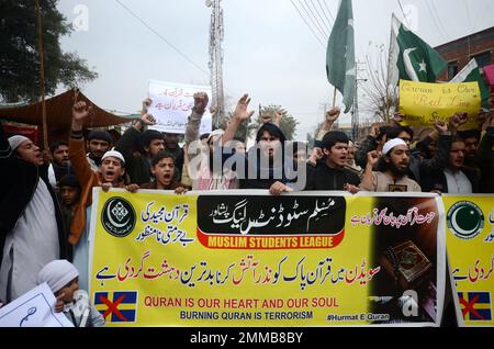 Peshawar, Khyber Pakhtunkhwa, Pakistan. 29th janvier 2023. Les partisans du parti de la Ligue de l'Homme musulman tiennent un écriteau dans Urdu "brûler le Coran est le pire type de terrorisme de la Suède" lors d'une protestation contre la Suède. Le Premier ministre pakistanais Shahbaz Sharif, plusieurs pays arabes ainsi que la Turquie ont condamné le 23 janvier l'islamophobie après que le politicien d'extrême-droite suédois-danois Rasmus Paludan ait brûlé une copie du Coran lors d'un rassemblement à Stockholm le 21 janvier. (Credit image: © Hussain Ali/Pacific Press via ZUMA Press Wire) USAGE ÉDITORIAL SEULEMENT! Non destiné À un usage commercial ! Banque D'Images