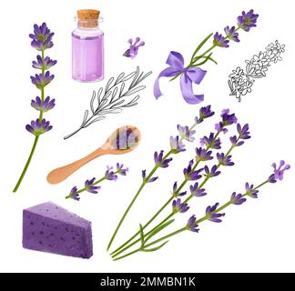 Ensemble d'éléments fleurs de lavande, bouteilles, savon et noeud violet, dessins d'aquarelle sur fond blanc Banque D'Images