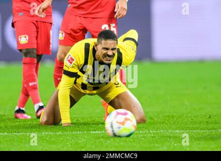 Sébastien HALLER (DO), action, avec douleur, football 1st Bundesliga, 18th match day, Bayer 04 Leverkusen (LEV) - Borussia Dortmund (DO), on 29 janvier 2023 à Leverkusen/ Allemagne. #La réglementation DFL interdit toute utilisation de photographies comme séquences d'images et/ou quasi-vidéo # Banque D'Images