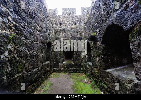 Ancienne forteresse médiévale byzantine Gonio Aphsaros, Batumi, Géorgie. Banque D'Images
