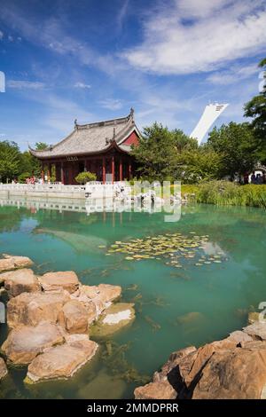 Pavillon Friendship Hall et Dream Lake avec Nymphaea - Waterliy in Chinese Garden en été, jardin botanique de Montréal, Québec, Canada. Banque D'Images