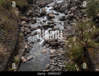 Une petite rivière d'un paramo colombien vue depuis un pont Banque D'Images