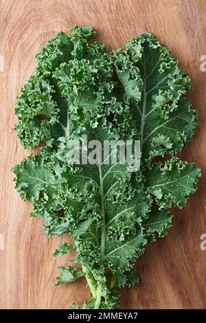 Chou frisé frais cru ou chou feuille (lat. Brassica oleracea) photographié au-dessus du bois (Focus sélectif) Banque D'Images