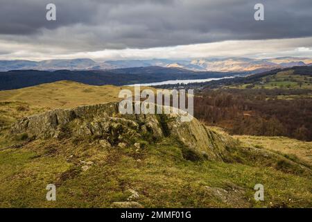 Marcher sur les Outlyers de Wainwright près de Windermere dans le district du lac Banque D'Images