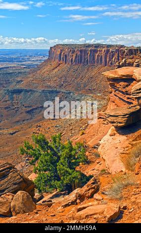 La crête de Sandstone sort d'un Canyon dans le parc national de Canyonlands, dans l'Utah Banque D'Images