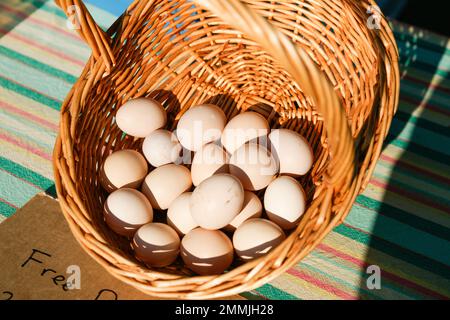 Paniers d'œufs frais à vendre sur le marché agricole de Wellington, en Nouvelle-Zélande. Banque D'Images