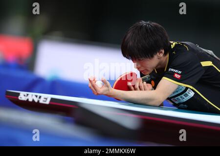 Tokyo, Japon. 28th janvier 2023. Shunsuke Togami tennis de table : tous les championnats japonais de tennis de table 2023 les hommes célibataires quart-finale au Tokyo Metropolitan Gymnasium à Tokyo, Japon . Credit: Yohei Osada/AFLO SPORT/Alay Live News Banque D'Images