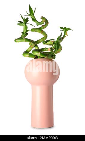 Vase élégant avec branches en bambou vert sur fond blanc Banque D'Images