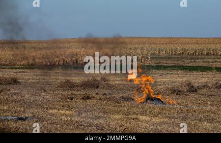 incinération des déchets agricoles - smog et pollution. Émissions nocives de la combustion du foin et de la paille dans les champs agricoles. Banque D'Images