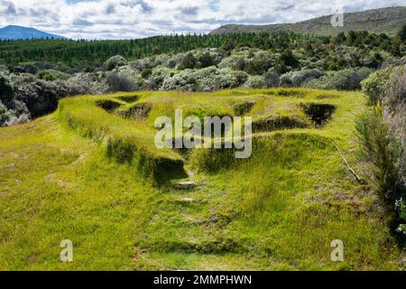 Terre maorie historique et site PA défensif à la partie inférieure de te Porere Redoute, près de Turangi, Île du Nord, Nouvelle-Zélande Banque D'Images