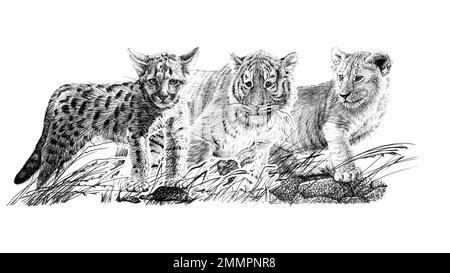 Jeu de trois petits animaux dessinés à la main, croquis graphiques illustration monochrome sur fond blanc (originaux, pas de tracé) Banque D'Images