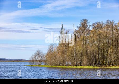 Lac avec arbres sur un promontoire Banque D'Images