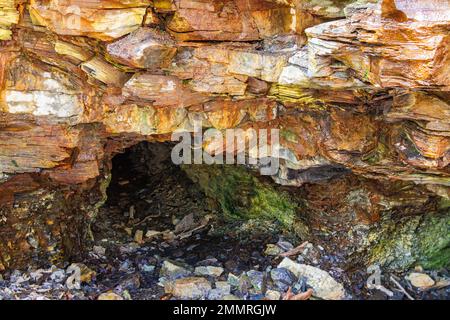 Ancien arbre dans une mine Banque D'Images