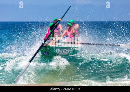 Sydney Northern Beaches Surfboat Carnival à North Narrabee Beach, Palm Beach SLSC hommes équipage de rangée vers la rive au-dessus des vagues de l'océan, Sydney, NSW, Aus Banque D'Images