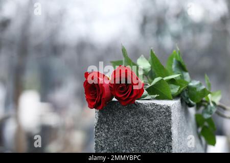 Roses rouges sur pierre tombale en granit gris à l'extérieur. Cérémonie funéraire Banque D'Images