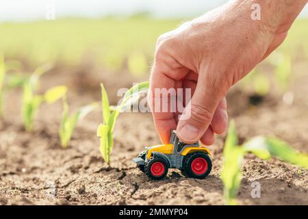 Homme fermier tenant main miniature de tracteur moulé sous pression jouet dans le champ de maïs, gros plan avec foyer sélectif Banque D'Images