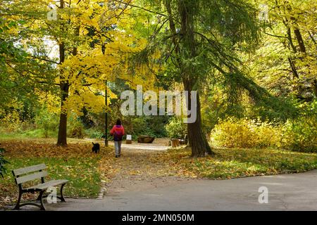 France, Meurthe et Moselle, Nancy, automne à Sainte Marie parc un jardin public situé avenue Boffrand Banque D'Images
