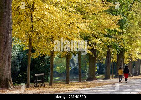 France, Meurthe et Moselle, Nancy, automne au parc public de Pepiniere situé à côté de la place Stanislas (place Stanislas ancienne place royale) construite par Stanislas Leszczynski, roi de Pologne et dernier duc de Lorraine au 18th siècle, classée au patrimoine mondial de l'UNESCO Banque D'Images
