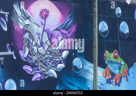 France, Meurthe et Moselle, Nancy, fresque de Valer sur le mur du jardin du lycée de Loritz dans le cadre du projet ADN (Art dans Nancy) et Graff sur le mur (Graff sur le mur) développé par le lycée de Loritz situé rue des Thiercelins Banque D'Images