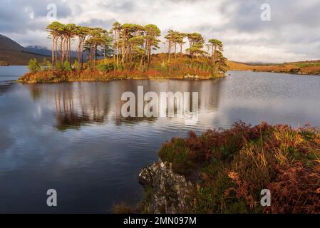 Irlande, comté de Galway, parc national du Connemara, lac Derryclare, douze Bens en arrière-plan Banque D'Images