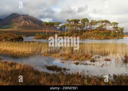 Irlande, comté de Galway, parc national du Connemara, lac Derryclare, douze Bens en arrière-plan Banque D'Images