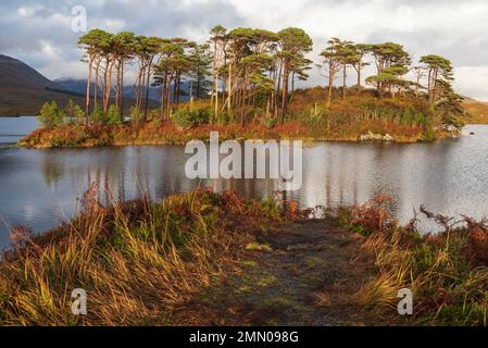 Irlande, comté de Galway, parc national du Connemara, lac Derryclare, douze Bens en arrière-plan Banque D'Images