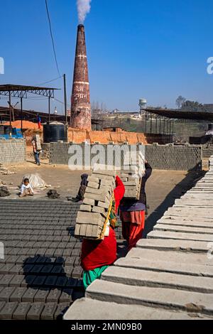 Népal, vallée de Katmandou, briqueteries près de Bhaktapur Banque D'Images