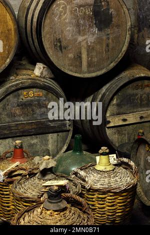 France, Gers, Bassoues, domaine de Bile, intérieur de la cave d'un viticulteur Banque D'Images