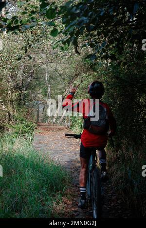 France, Pyrénées Atlantiques, Béarn, Castet, Réserve naturelle nationale de la vallée de l'Ossau Banque D'Images