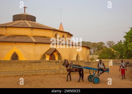 Sénégal, delta de Saloum classé au patrimoine mondial par l'UNESCO, jeune homme à la conduite d'une charrette tirée par un cheval devant l'église ocre de la Sainte famille sur l'île de Mar Lodj Banque D'Images