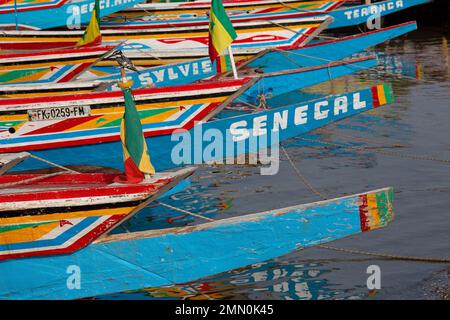 Sénégal, delta de Saloum classé au patrimoine mondial par l'UNESCO, kingfisher reposant sur un drapeau sénégalais au milieu de canoës multicolores sur la jetée de Ndangane Banque D'Images