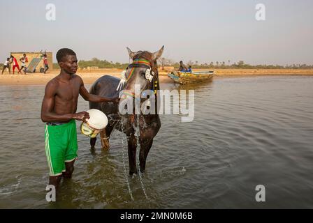 Sénégal, delta de Saloum classé au patrimoine mondial par l'UNESCO, un jeune homme lavant son cheval avec de l'eau de rivière devant de jeunes hommes dans un canoë et s'entraîner à la lutte sénégalaise sur la plage de l'île de Mar Lodj Banque D'Images