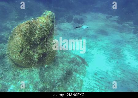 France, Alpes-Maritimes, Cannes, Iles Lerins, Ile Sainte-Marguerite, L'écomusée sous-marin composé de statues monumentales de l'artiste Jason decaires Taylor, moulé selon les visages de 6 habitants de Cannes et immergé à une distance allant de 84 à 132 mètres de la rive pour une profondeur de 3 à 5 mètres Banque D'Images