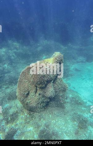 France, Alpes-Maritimes, Cannes, Iles Lerins, Ile Sainte-Marguerite, L'écomusée sous-marin composé de statues monumentales de l'artiste Jason decaires Taylor, moulé selon les visages de 6 habitants de Cannes et immergé à une distance allant de 84 à 132 mètres de la rive pour une profondeur de 3 à 5 mètres Banque D'Images